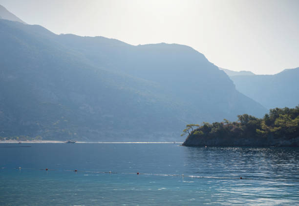 Grafted Olive Tree on the hill, Beautiful Gocek Islands on the background on a bright summer day, Dalaman, Mugla