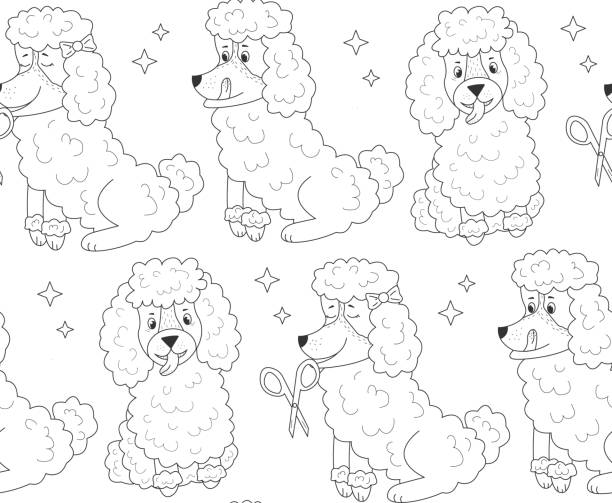 고립된 배경에 다른 푸들과 별을 패턴화한다 - grooming dog pets poodle stock illustrations