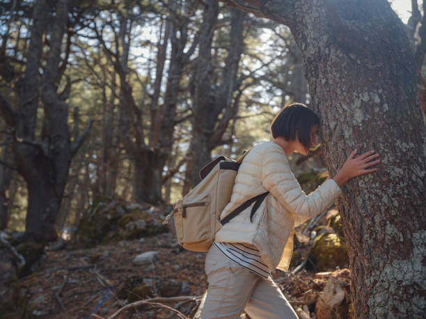 istock woman enjoys nature, beautiful forest in mountains 1461643158