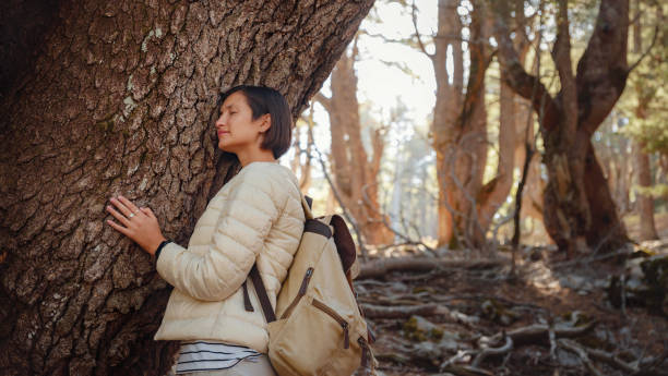 istock woman enjoys nature, beautiful forest in mountains 1461647981