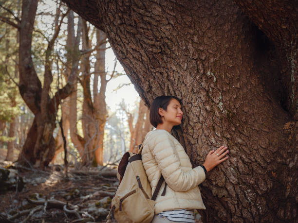istock woman enjoys nature, beautiful forest in mountains 1461649002