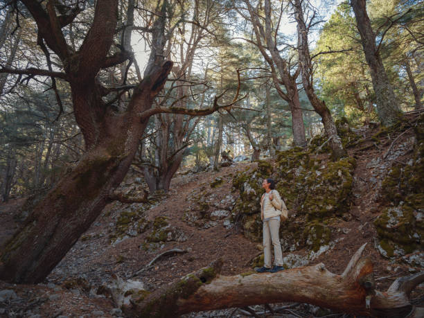 istock woman enjoys nature, beautiful forest in mountains 1461649062