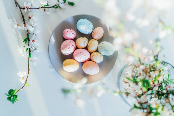 Top view colored easter eggs on the gray plate, blooming tree branch in vase and flower petals on the white table. Happy Easter and springtime card. Minimalism and simplicity. Selective focus.
