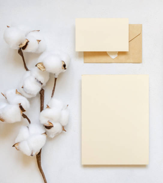 istock Blank cards and envelope with cotton flowers top view on white, wedding mockup 1461655686