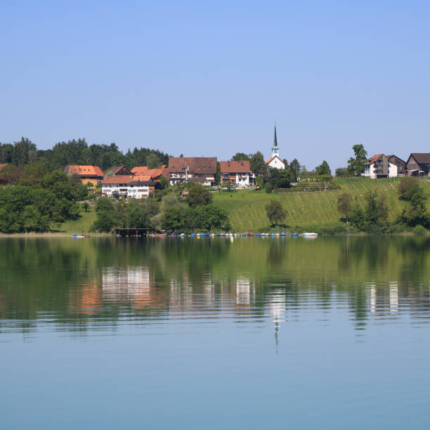 istock Summer day at Lake Pfaffikon, Switzerland. 1461656986