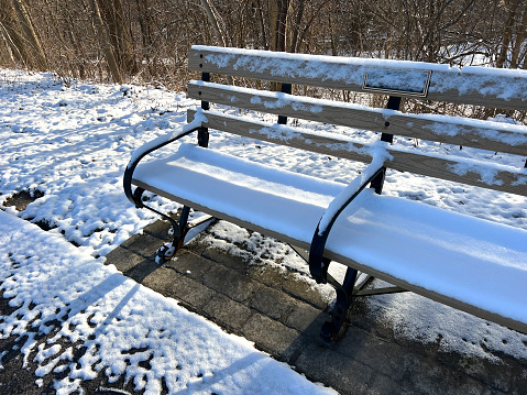 Snow covered park bench with memorial plaque