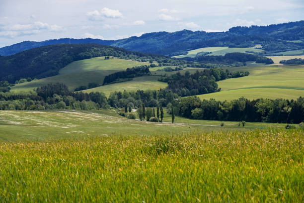 Spring countryside near Lacnov, Czechia. stock photo