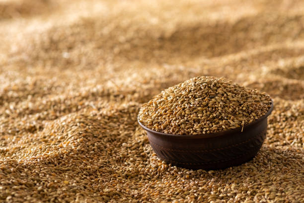 istock A grain of wheat in a clay bowl 1461660158