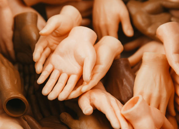 A collection of plastic hands representing both white skin and people of colour.