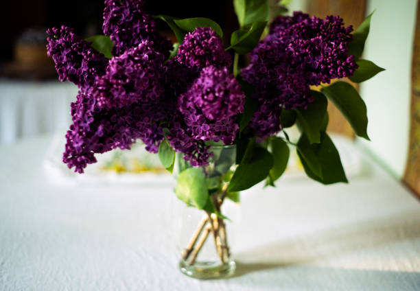 Selective focus on lilac twigs on the table. Close up.