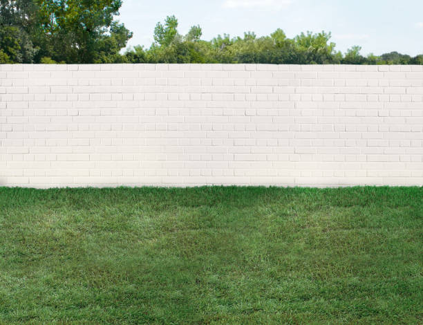 istock Empty backyard with green grass and brick fence 1461669458