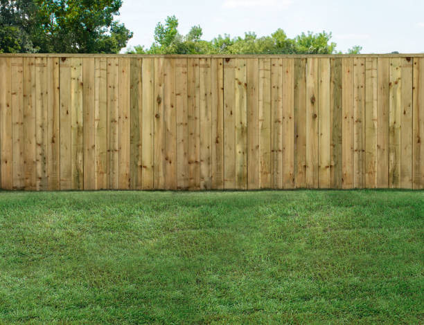 istock Empty backyard with green grass and wood fence 1461669465