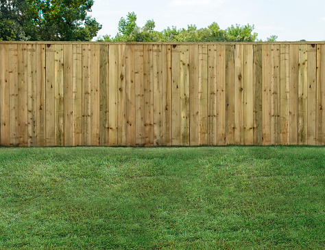 Empty backyard with green grass and wood fence