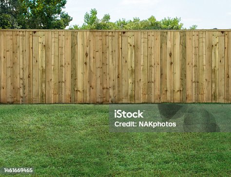 istock Empty backyard with green grass and wood fence 1461669465