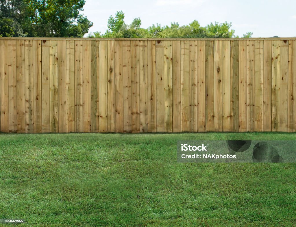 Empty backyard with green grass and wood fence Back Yard Stock Photo