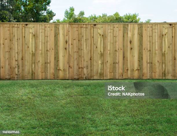 Empty Backyard With Green Grass And Wood Fence Stock Photo - Download Image Now - Back Yard, Fence, Yard - Grounds