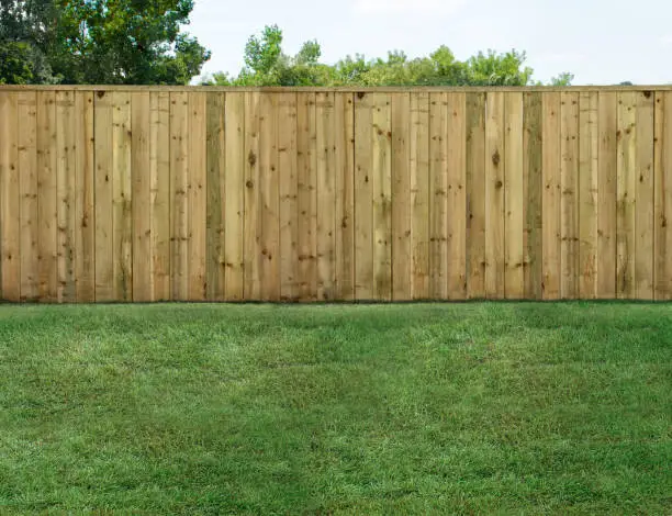 Photo of Empty backyard with green grass and wood fence