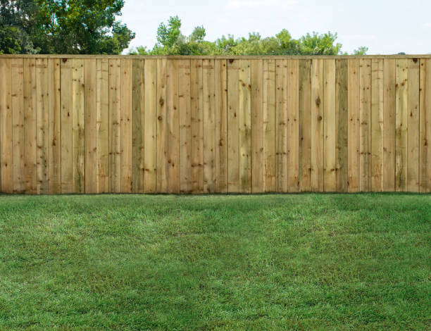 empty backyard with green grass and wood fence - garden fence imagens e fotografias de stock