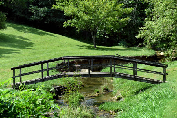istock Black Wooden Country Bridge 1461670993
