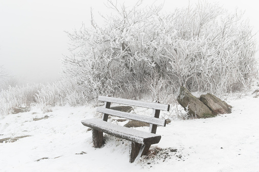 An abandoned, snowed-in park bench in winter