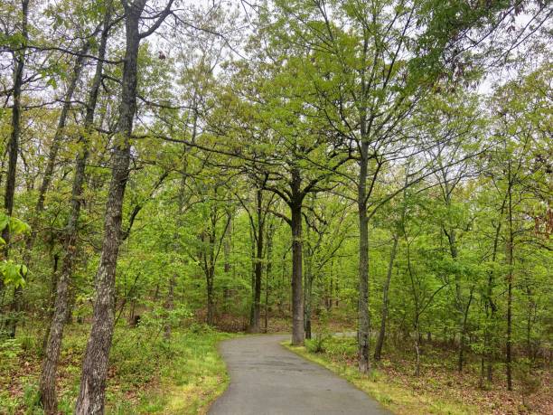 istock Hiking at Emerald Park, North Little Rock, Arkansas 1461671721