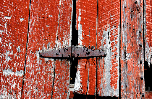 Rusty hinge on old barn door is held in place by a miriad of nails.  Barn is red with peeling and weathered paint.