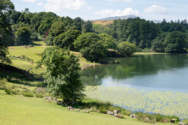 istock People playing by the lake 1461672355