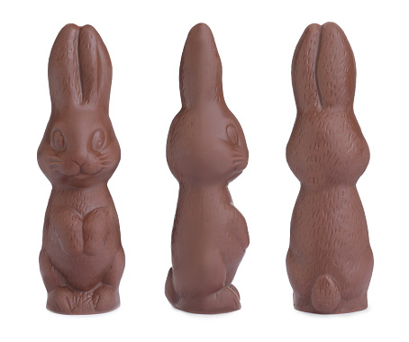 Set with chocolate Easter bunnies on white background