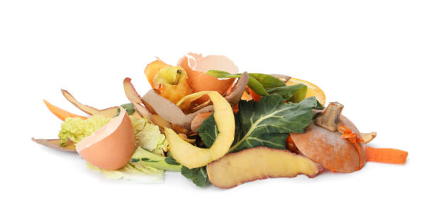 istock Pile of organic waste for composting on white background 1461675316