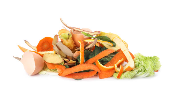 istock Pile of organic waste for composting on white background 1461675481