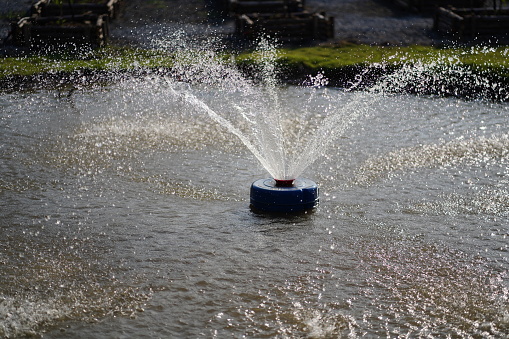Fountain in a pond in a summer sunny park