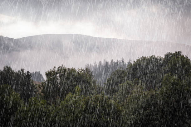 lluvia sobre el bosque verde. colinas montañosas brumosas de los cárpatos. día lluvioso en verano. - lluvia fotografías e imágenes de stock