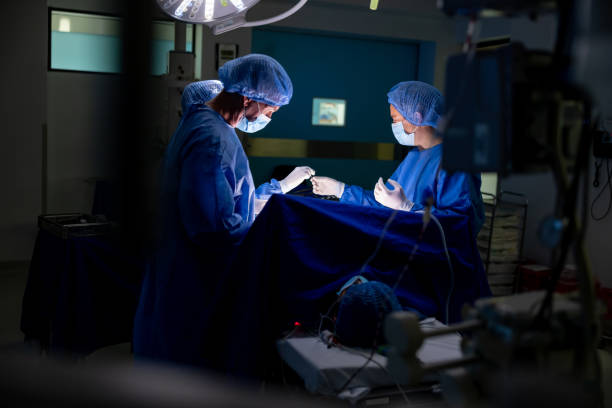 istock Surgeons operating on a patient in the operating room 1461681661