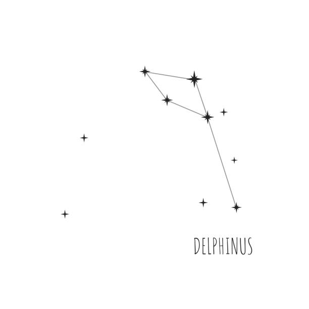 Simple constellation scheme Delphinus Simple constellation scheme Delphinus.   Doodle, sketch, drawn style. Constellation Delphinus scheme collection. Stars on white background constellation delphinus stock illustrations