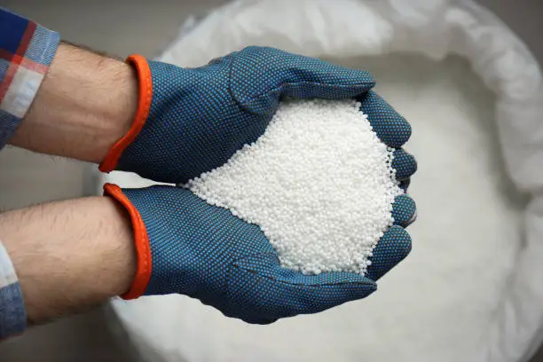 Photo of Farmer holding pile of ammonium nitrate pellets over bag, top view. Mineral fertilizer