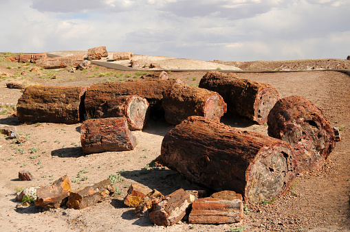 Scenic landscape of the ancient petrified forest in Arizona