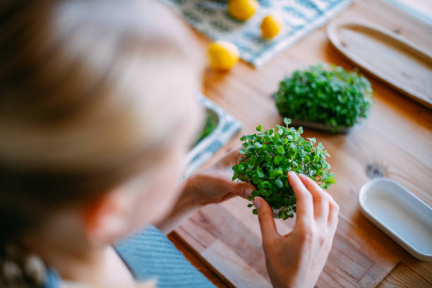 istock Microgreens Grown by Young Woman 1461683532