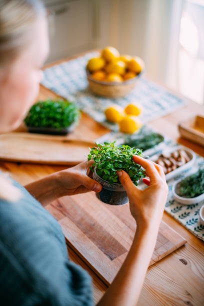 istock Microgreens Grown by Young Woman 1461683615