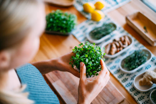 istock Microgreens Grown by Young Woman 1461683655
