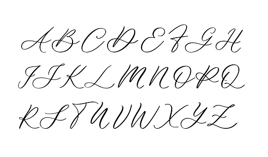 Vector of stylized calligraphic font and alphabet