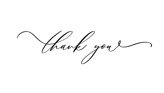 Thank you Hand drawn lettering. Calligraphic Lettering, Vector illustration