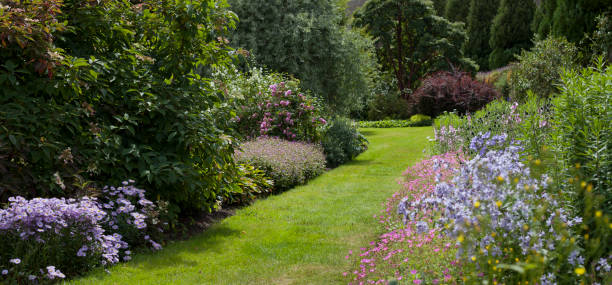 istock Old style country Scottish garden with mixed borders. 1461685592