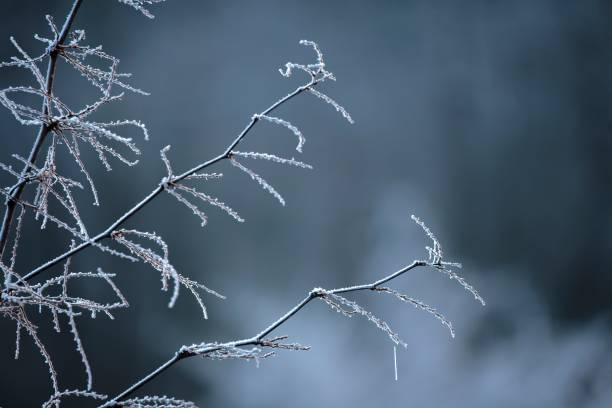 istock A winter frozen morning with glaze ice 1461689283