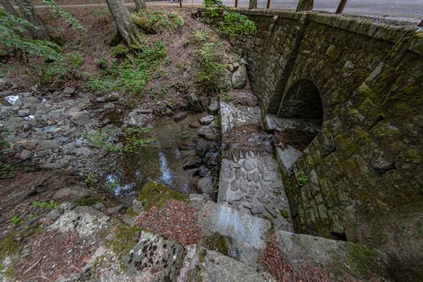 istock Small stream in the middle of the woods 1461689461