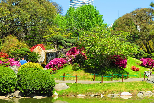 Buenos Aires, Argentina - September 25, 2019. People at the public park in Palermo in Buenos Aires city. Landscape of waterfall, flowering trees and bonsai. Japanese Garden in capital city.