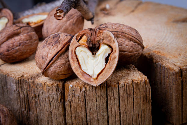 Walnut. Half walnut on natural background. Inshell nuts. Copyspace. Walnut. Half walnut on natural background. Inshell nuts. Copyspace.. apple core stock pictures, royalty-free photos & images