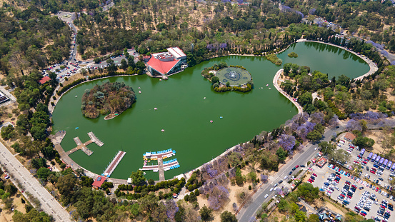 Overhead view of Social distance markings in public park