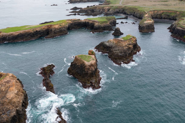 istock Aerial View of Rugged Mendocino Coast 1461718256