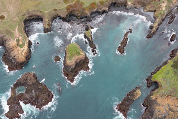 istock Aerial View of Rugged Mendocino Coast 1461718303