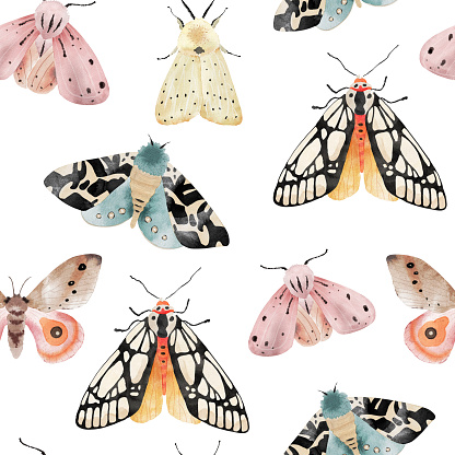 Seamless pattern with colorful butterflies and moths on a white background, watercolor illustration.